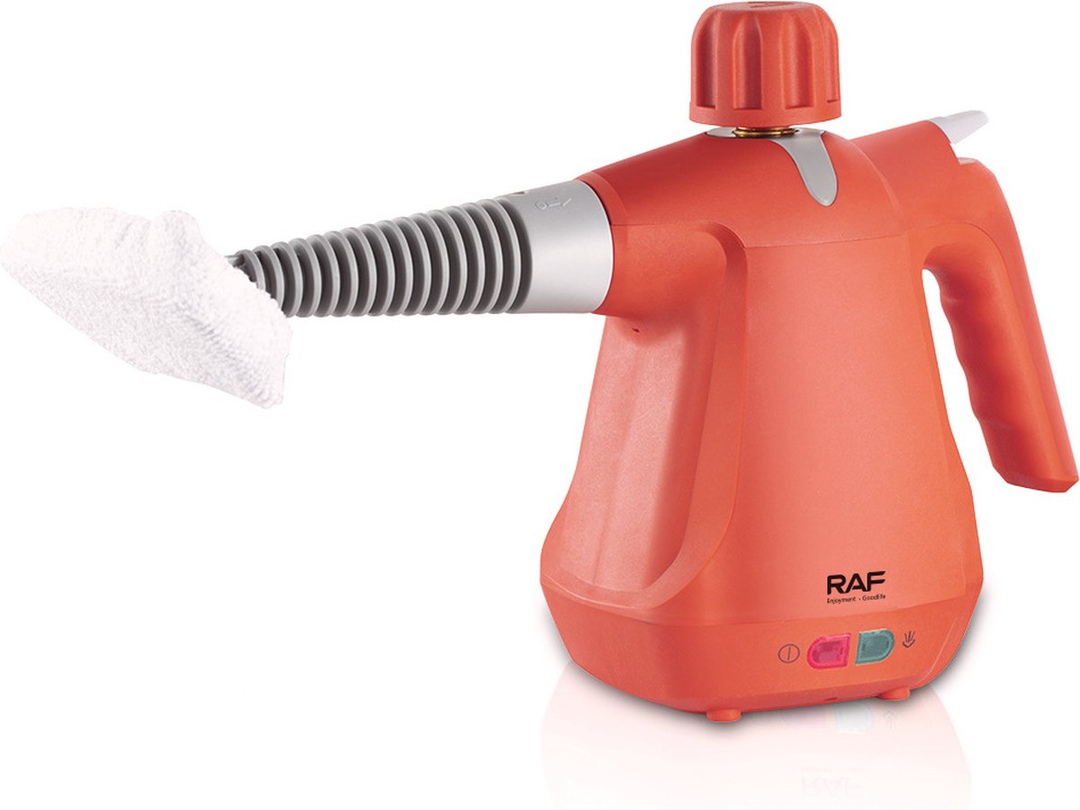 Nettoyeur vapeur RAF 10 en 1