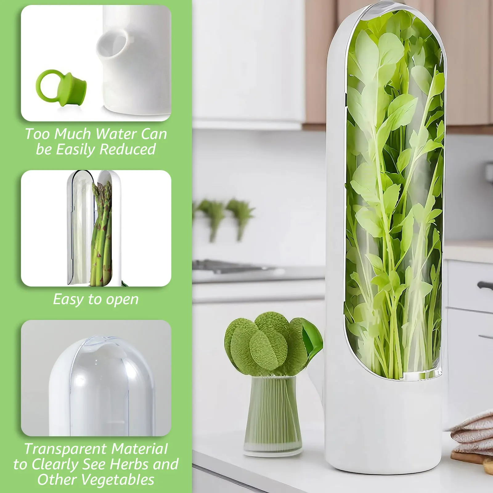 Boîte de conservation d'herbes avec couvercle pour préserver et stocker les légumes