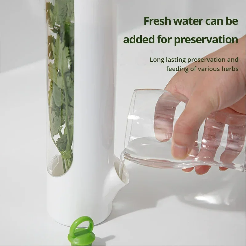 Boîte de conservation d'herbes avec couvercle pour préserver et stocker les légumes