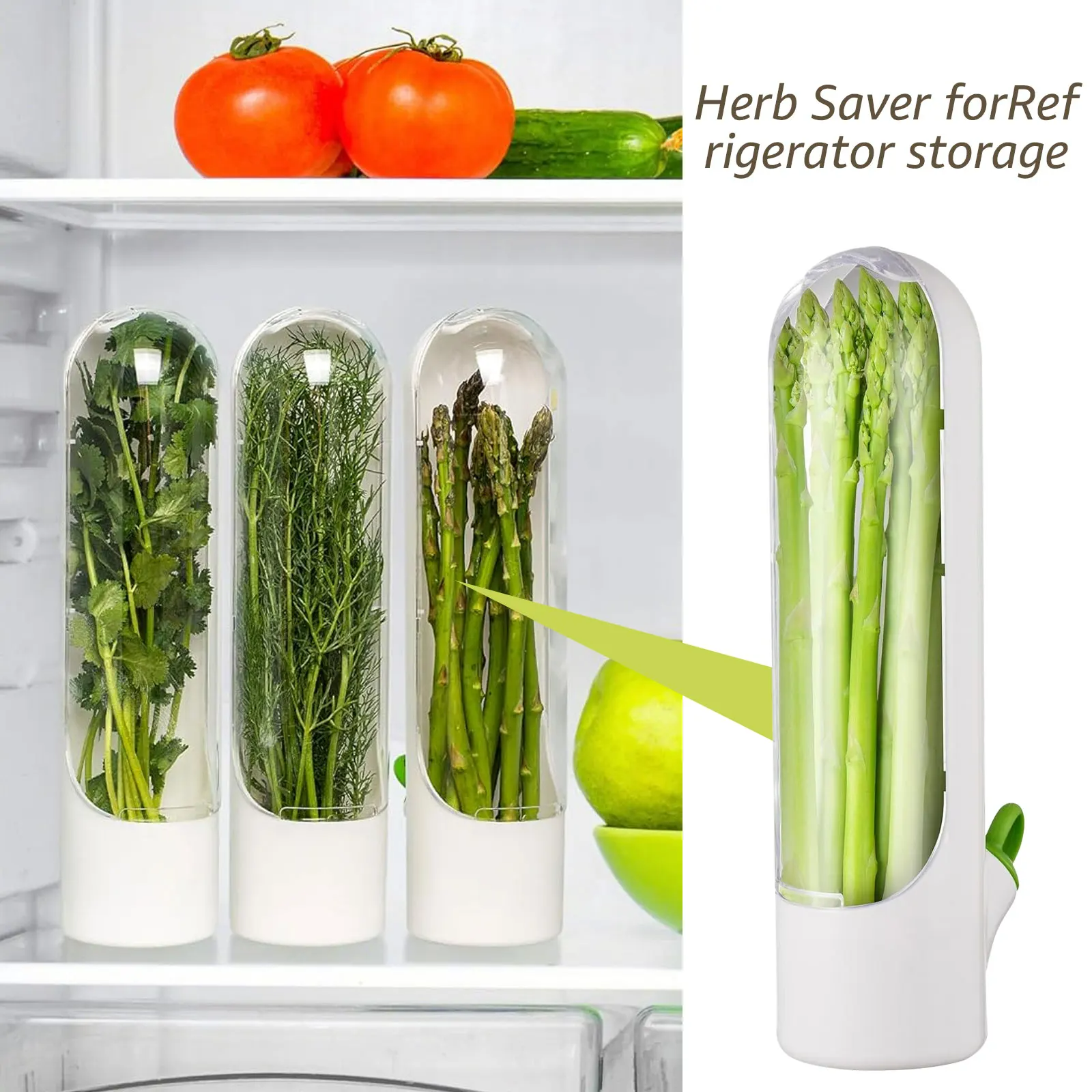 Boîte de conservation d'herbes avec couvercle pour préserver et stocker les légumes